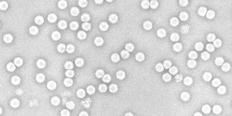 Multiple white circles on a grey background