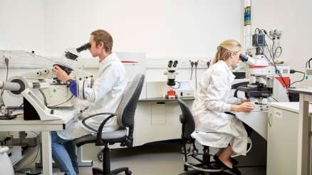 Research and Innovation in Biomedical Education