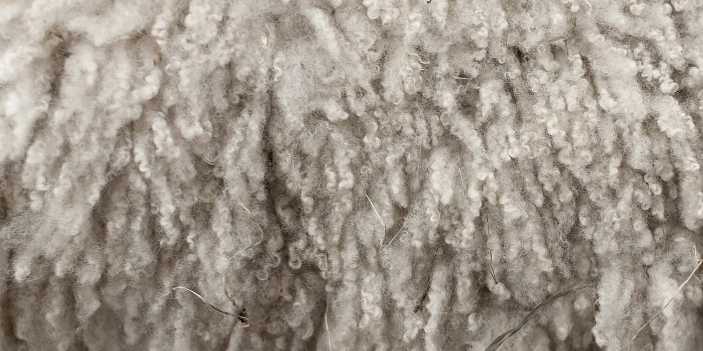 Close up of wool