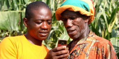 An app to help African farmers defeat crop pests
