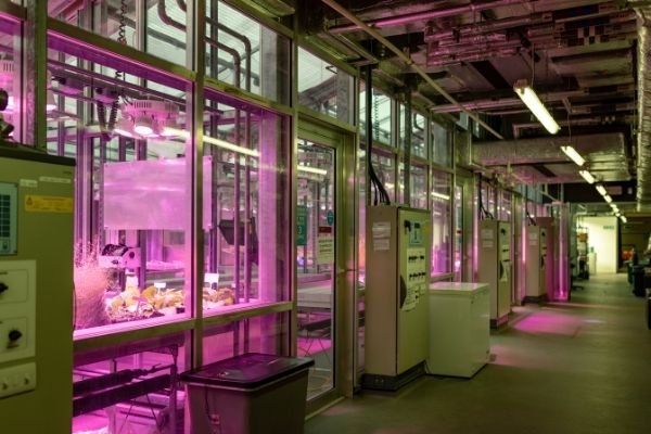 Plant science growth suites facilities